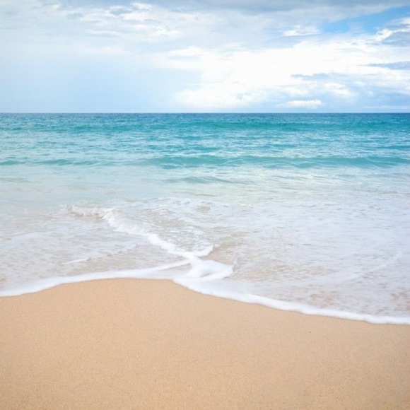 Meet your Posher, Lily - Picture 1 of 1